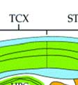 horn, spinal s cord; DMH-dorsomedial hypothalamus; DPG-deep gray