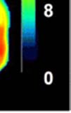 1999), az epidermisben (Andoh et al.