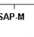 (n= 5) (n=7) (n=10) (n=14)