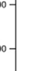 A streptozotocin-kezelés