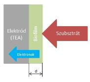 A hulladékból előállított elektromos energia kötelező átvételi tarifája átlagosan 28,6 Ft/kWh (MEKH, 215) 1,6 MW 24 h nap 365 nap év 28,6 Ft kwh = 2,7 mrd Ft év Az MFC-k akár önálló technológiában,