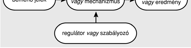 betűk, purin és pirimidin bázisok, aminosavak) analóg térben ésidőben, alsó és felső érték