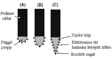 4. ábra: Taylor-kúp kialakulásának illusztrációja. (A) Az elektromos tér felületi töltést hoz létre a polimer oldatban.