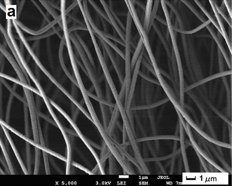 8. ábra: Nanoszálakról készült SEM képek.