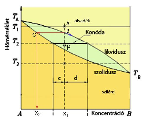 Az 1.41. ábra két komponens korlátlan elegyedését mutatja. Az A függőleges egyenesen A anyagból 100 %, míg anyagból 0 % van és a B függőleges egyenesen pedig fordítva.