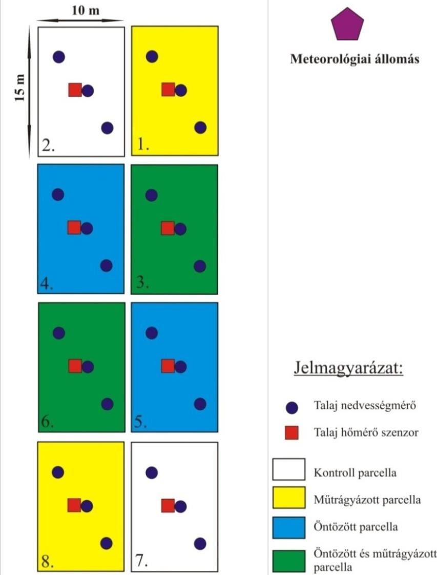 4. ábra: Az őrbottyáni kisparcellás szabadföldi kísérlet grafikus ábrázolása (2.