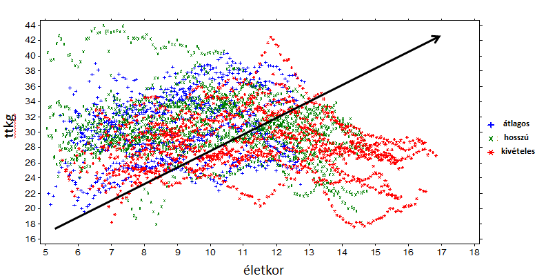 3,1x) A testzsír %-a a testösszetételben az átlagos csoportban emelkedett leginkább (2,7%-1,3% -1,6 %) A vázizom / zsírmentes testtömeg abszolút mennyisége az átlagos csoportban csökkent a legtöbbet