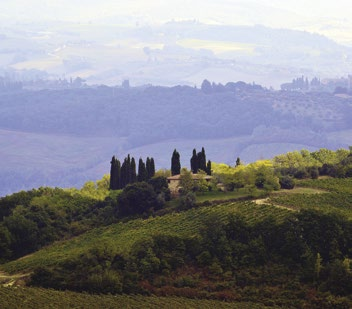 Felkeressük a híres lovasverseny helyszínét, az Il Campot, a város kagyló alakú főterét. Délután San Gimignanoban folytatjuk a programunkat.