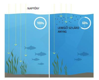 mennyiségű lebegő anyag ronthatja a víz minőségét, valamint morfodinamikai szempontból jelentős szerepet tölthet be a meder geometriai változásában.