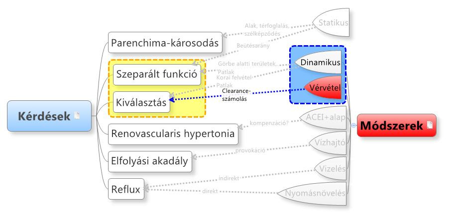 kiválasztás Kvantitatív  19 20 Relatív (szeparált)