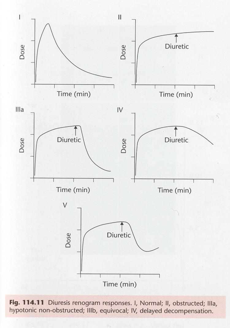 -né 25 Quantitative kidney studies 27 J.