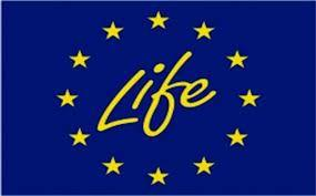 I. A LIFE program LIFE= az EU környezetvédelmi és