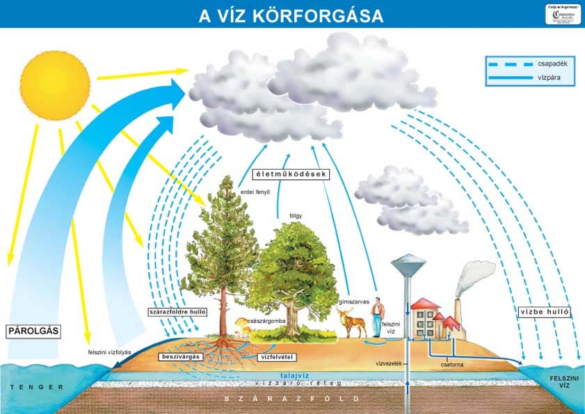 Sziasztok! Megérkezett végre az idei tanév utolsó ZÖLDKÖZNAPOK feladatsora. Bizonyára kezdtetek már unatkozni, de most rögtön újra nekigyürkőzhettek. Hajrá!!! A válaszlapok leadási határideje: márc.