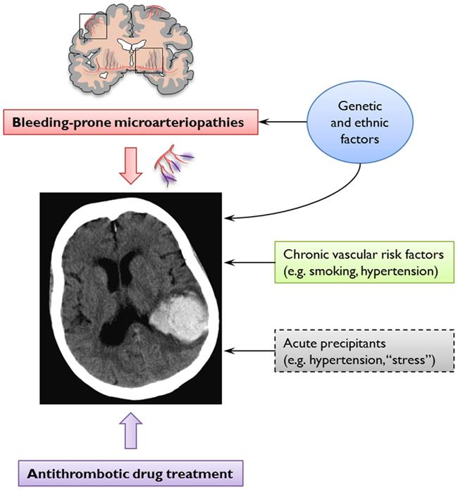 VÉRZÉS UTÁNI ANTIKOAGULÁLÁS Ezen betegek gyakran nem kapnak újra sem antithromboticus, sem antikoaguláns kezelést noha ischaemiás