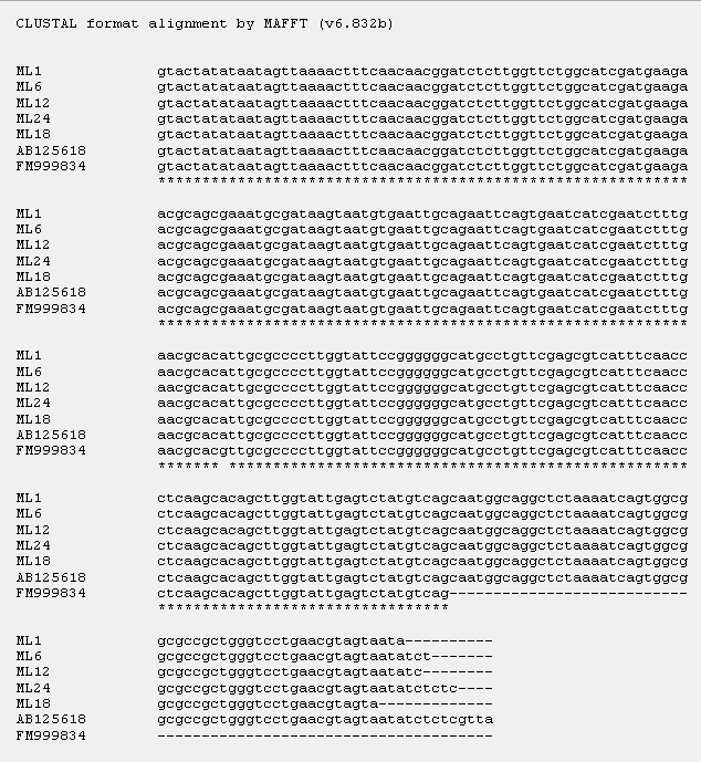 hibának valószínűsíthető, amely származhat a szekvenálási kromatogram nem megfelelő vizuális elemzéséből. (http://www.ebi.ac.uk/ena/data/view/fm999834,http://www.ebi.ac.uk/ena/data/view/ab1256 18) 4.