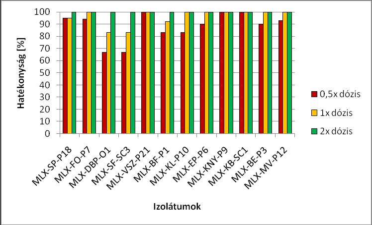 32. ábra: Ciprodinil Monilinia laxa izolátumok növekedését gátló hatásának %-os értékei 0,5x; 1x és 2x-es dózisok alkalmazása mellett in vitro PDA táptalajon 5 napos inkubálást követően 22 C-on.