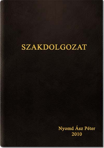 A PTE BTK MAGYAR SZAKÁN NYELVÉSZETBŐL ÍRT SZAKDOLGOZATOKRA ÉRVÉNYES KÖVETELMÉNYEK A hallgatónak az oklevél megszerzéséhez szakdolgozatot kell készítenie.