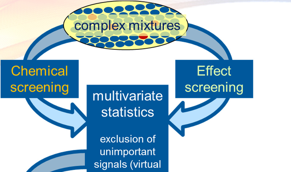 Effect-directed analysis