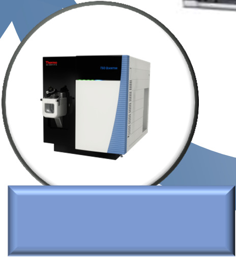 Plus online mintaelőkészítés LCMS Thermo Scientific