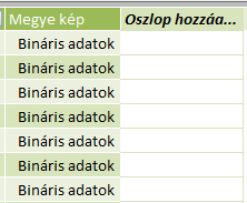 Régiók képeinek tárolása az adatbázisban Régiók képeinek megjelenítése a Power View-ban A Power View a képeket meg tudja jeleníteni adatbázisból illetve az adatbázisban tárolt linkek alapján akár a