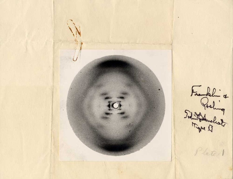 DNA 1953 Rosalind Franklin DNA double helix X-ray diffraction pattern of DNA 1953