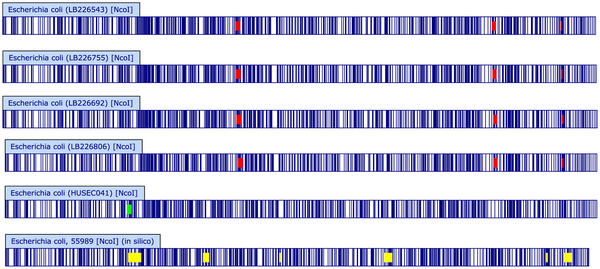 Optikai térkép EHEC + EAEC EHEC EAEC EHEC O104: H4 egyedi régió HUSEC041 egyedi régió 55989 egyedi régió A