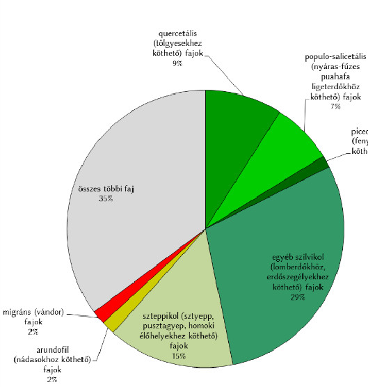 314 A kisalföldi meszes homokpuszta katonai használatú területeinek élővilága fraudatricula), a homoki lándzsásbagoly (Simyra nervosa) vagy a homoki szegfűbagoly (Hadena irregularis).