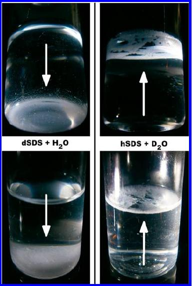 15. ábra Fényképek a tömbfázisbeli aggregátumok transzportjáról a PDADMAC/NaDS minták öregedése során. PDADMAC/dNaDS/H 2 O bal oldalon és PDADMAC/hNaDS/D 2 O jobb oldalon.