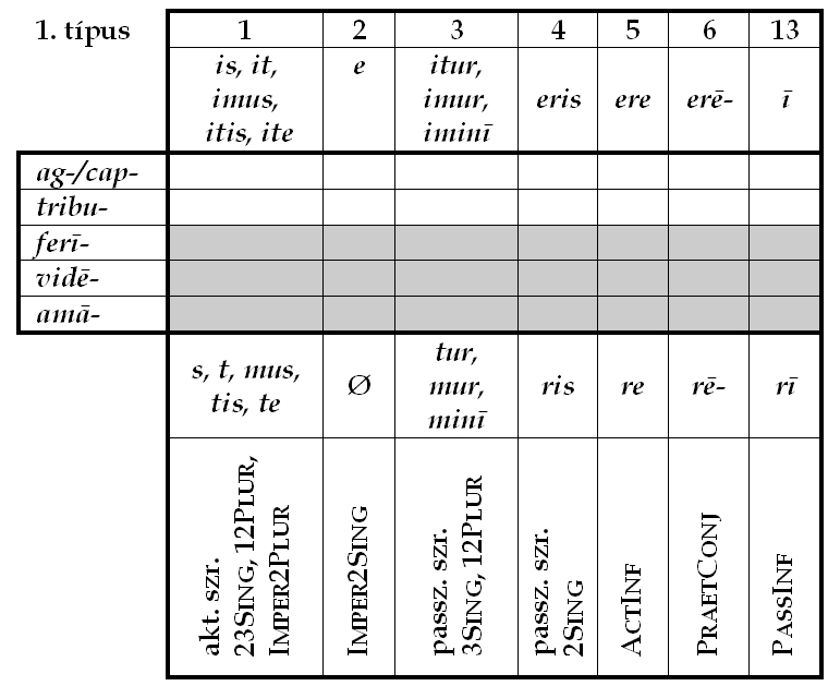 A tıvégi szegmentumok mint környezetek A 14-bıl 11 két nagy típus valamelyikébe esik: 1. típus 2. típus C_ u_ i/ī_ ē_ ā_ NB.