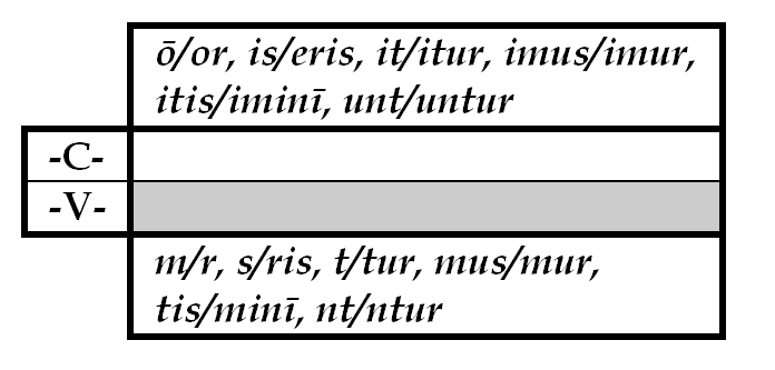 Allomorfia bıvített tı után Az igei allomorfiák összefoglalása Azaz személyragok nem közvetlenül impf. vagy perf-tı után; csak [r b i āē], tehát 1.