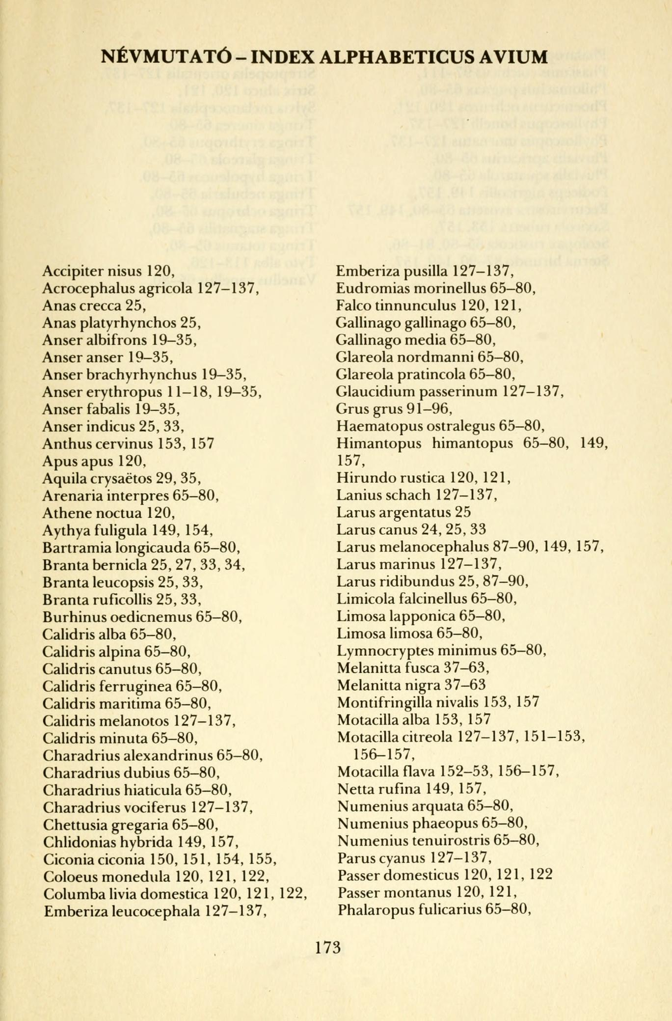 NÉVMUTATÓ - INDEX ALPHABETICUS AVIUM Accipiter nisus 120, Acrocephalus agricola 127-137, Anas crecca 25, Anas platyrhynchos 25, Anser albifrons 19-35, Anser anser 19-35, Anser brachyrhynchus 19-35,