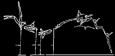 301 From HB underswing with salto fwd tucked or piked with ½ turn (180 ) or 1/1 turn (360 ) 6.