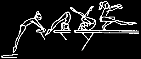 1.000 MOUNTS A B C D E F/G 1.107 1.207 Jump to roll fwd at end or middle of beam, also from clear straddle support on end of beam swing bwd to roll fwd 1.407 1.507 1.
