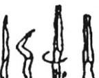 1.000 MOUNTS A B C D E F/G 1.112 1.212 1.312 Hstd in cross position with large arch span, also piked with one leg vertical, other leg bent (2 sec.