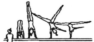 313 Jump press or swing to hstd shift weight to one arm hstd (2 sec.) lower to optional end position 1.