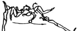 6.000 DISMOUNTS A B C D E F/G 6.103 6.203 Jump bwd, with ½ twist (180 ), salto fwd tucked or piked (Arabian salto) 6.303 Stretched jump fwd with 1/1 twist (360 ) and salto fwd tucked or piked, 6.