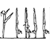 3.000 HAND SUPPORT ELEMENTS A B C D E F/G 3.