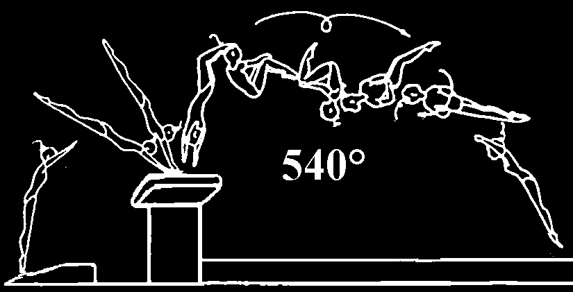 21 Handspring fwd on piked salto fwd with ½ 