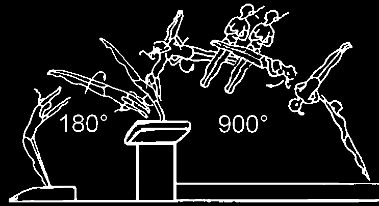 GROUP 3 HANDSPRING WITH ¼ - ½ TURN (90-180