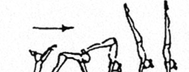1.000 MOUNTS A B C D E F/G 1.110 1.210 Jump to hstd on LB with hips bent, then extended, also with ½ turn (180 ) in hstd phase, legs togheter or straddle 1.