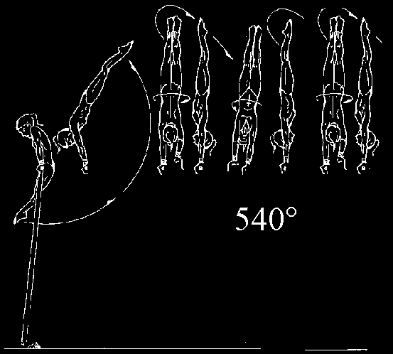 2.000 CASTS AND CLEAR HIP CIRCLES A B C D E F/G 2.