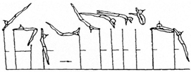 304 Hang on HB, facing LB swing fwd and roll bwd (legs straddled) to clear support on LB 3.