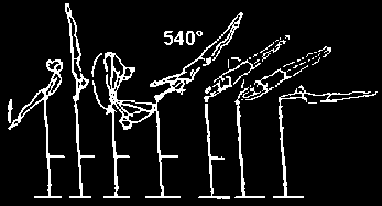 5.000 PIKE CIRCLES A B C D E F/G 5.307 Underswing on HB or LB with hand release and 1½ turn (540 ) to hang 5.107 5.