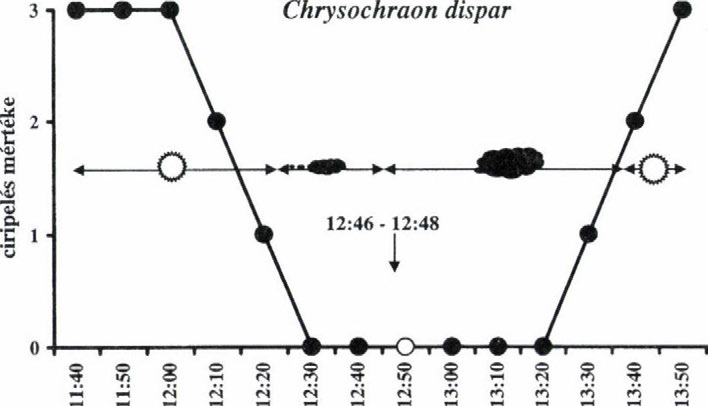 NAPPALI ROVAROK AKTIVITÁSA A TELJES NAPFOGYATKOZÁS SORÁN A nappal-aklív, de nem ciripelő alpesi sáska, Miramella alpina napfogyatkozás alatt tapasztalt viselkedési változásait a 2.