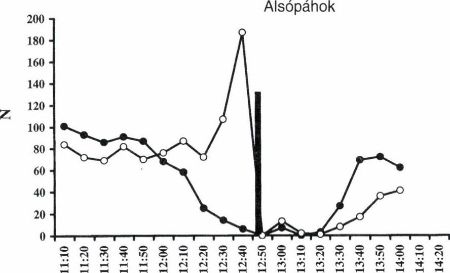 TF.UES NAPFOGYATKOZÁS HATÁSA MF.HEKRE 1. ábra. Alsópáhoknál és Pákozdnál (Maroshegy) a háziméhek gyűjtési aktivitásának tízpercenkénti változása az 1999.