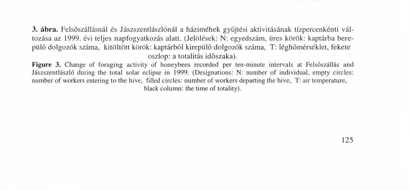 TF.UES NAPFOGYATKOZÁS HATÁSA MF.HEKRE 3. ábra. Felsőszállásnál és Jászszentlászlónál a háziméhek gyűjtési aktivitásának tízpercenkénti változása az 1999.