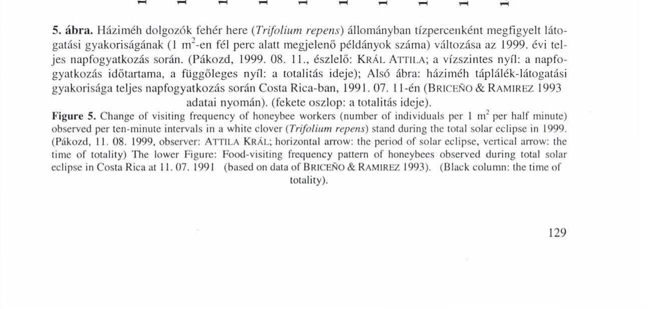 TF.UES NAPFOGYATKOZÁS HATÁSA MF.
