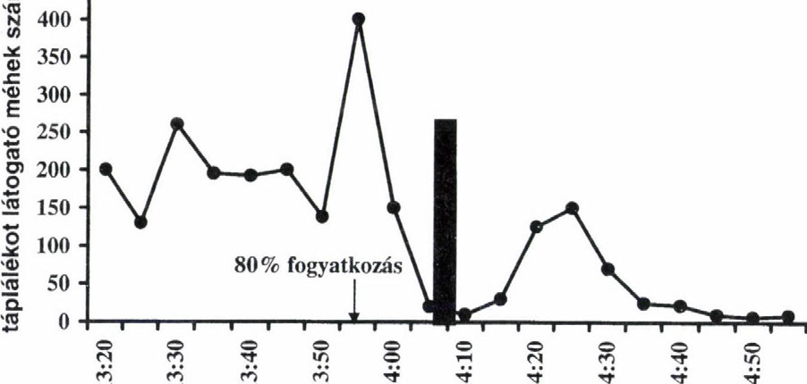 1999, observer: ATTILA KRÁL; horizontal arrow: the period of solar eclipse,