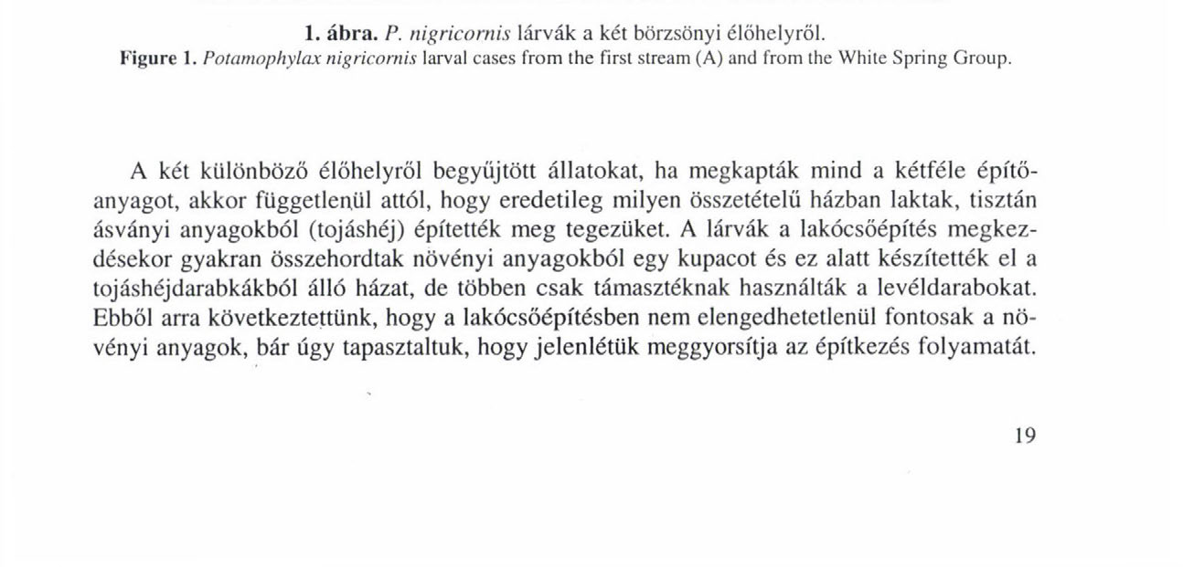 A POTAMOPHYI.AX N1GRICORNIS ÉS A P. ROTUNDIPENNIS LAKÓCSŐÉPÍTÉSE A terepen végzett megfigyeléseket laboratóriumi kísérletekkel is kiegészítettük.