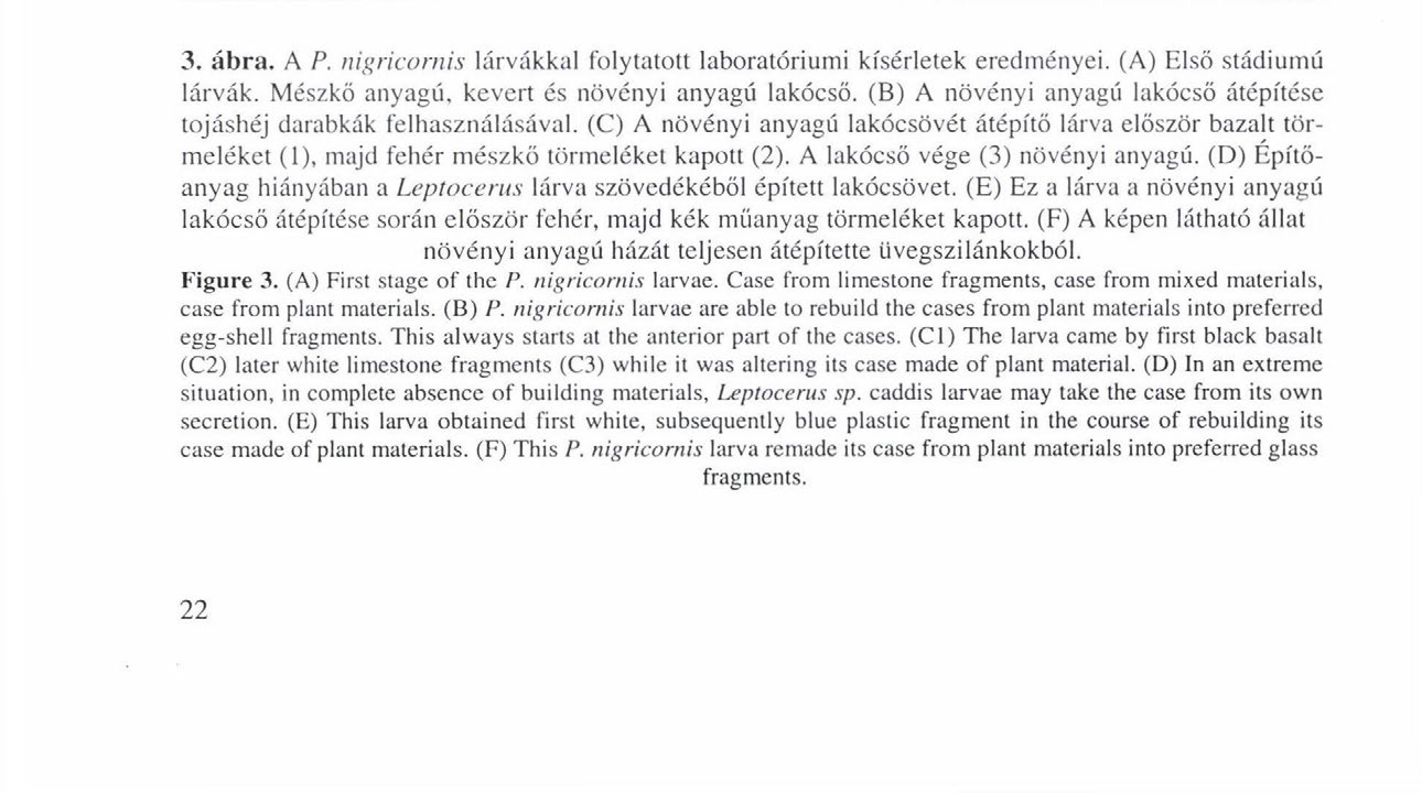 KRISKA GY. & ANDRIKOVICS S. A lakócsöépítés etológiája Az eredmények azt mutatják, hogy a P.